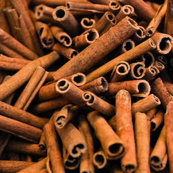 CINNAMON STICKS
