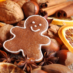 GINGERBREAD SPICE