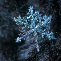 JACK FROST