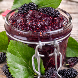 MULBERRY JAM